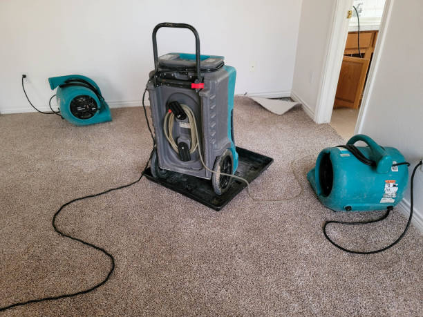Best Carpet water damage restoration  in Powderly, TX