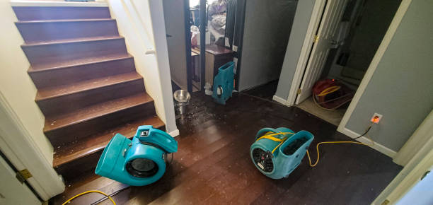 Best Fire Damage Restoration  in Powderly, TX