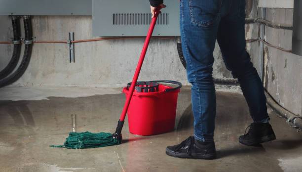 Water damage restoration experts in TX