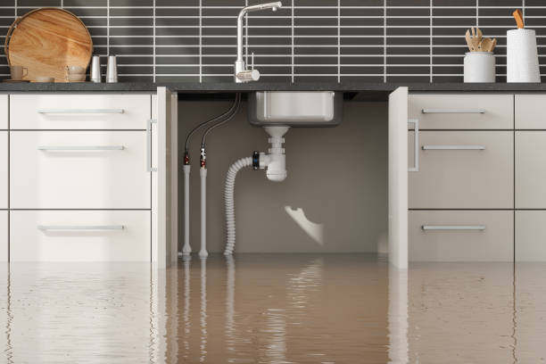 Best Basement water damage restoration  in Powderly, TX