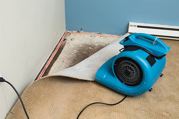Best Water damage restoration near me  in Powderly, TX